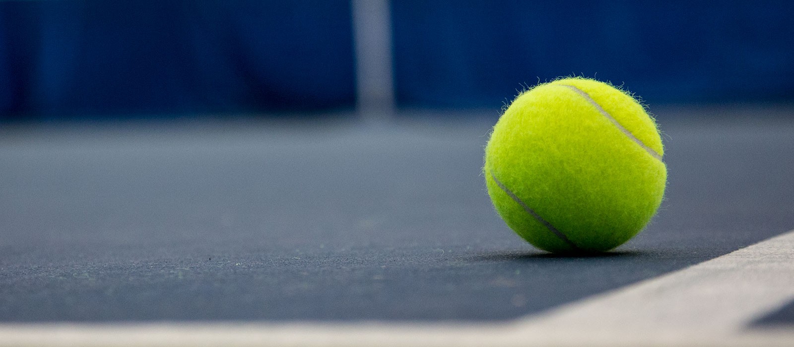 Header Image - Tennis club du Plessis-Grammoire